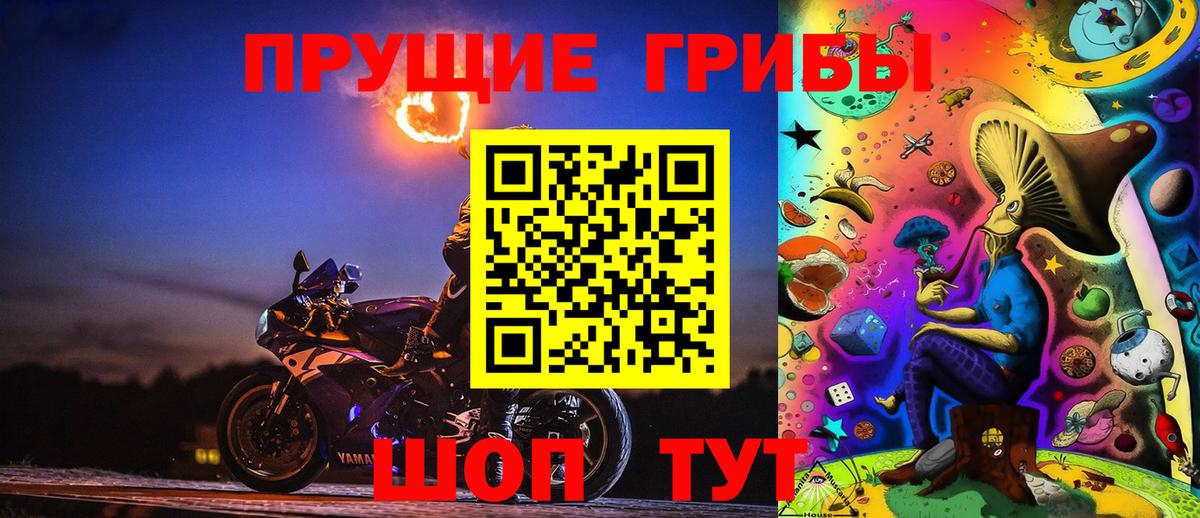Псилоцибиновые грибы мицелий Шелехов